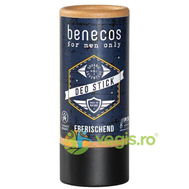 Deodorant Stick pentru Barbati cu Bicarbonat Ecologic/Bio 40g